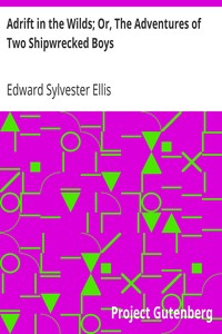 Book cover of "Adrift in the Wilds; Or, The Adventures of Two Shipwrecked Boys"