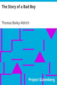 Book cover of "The Story of a Bad Boy"