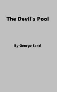 Book cover of "The Devil's Pool"