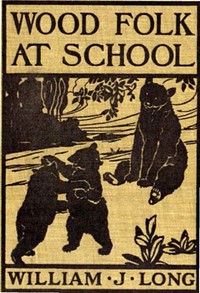 Book cover of "Wood folk at school"