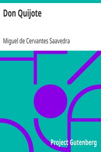 Book cover of "Don Quijote"