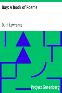 Book cover of "Bay: A Book of Poems"