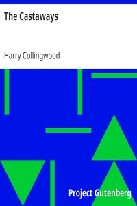 Book cover of "The Castaways"