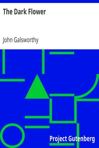 Book cover of "The Dark Flower"