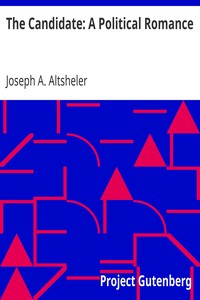 Book cover of "The Candidate: A Political Romance"