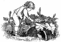 Book cover of "Wood Magic: A Fable"