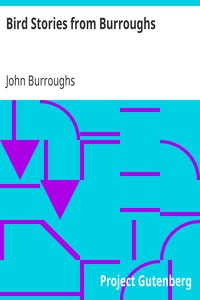 Book cover of "Bird Stories from Burroughs - Sketches of Bird Life Taken from the Works of John Burroughs"