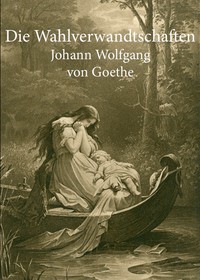 Book cover of "Die Wahlverwandtschaften"