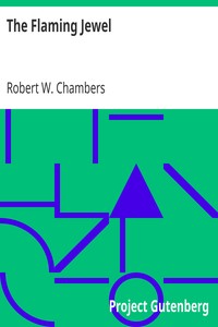Book cover of "The Flaming Jewel"