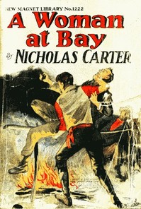 Book cover of "A Woman at Bay; Or, A Fiend in Skirts"