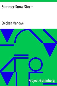 Book cover of "Summer Snow Storm"