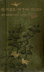 Book cover of "Birds in the Bush"