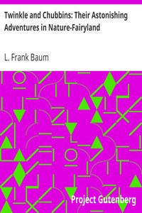 Book cover of "Twinkle and Chubbins: Their Astonishing Adventures in Nature-Fairyland"