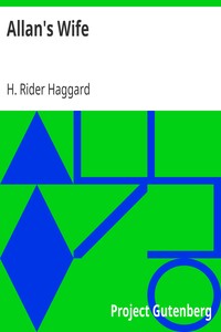 Book cover of "Allan's Wife"