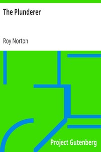 Book cover of "The Plunderer"