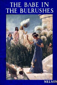 Book cover of "The Babe in the Bulrushes"