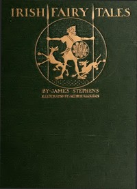 Book cover of "Irish Fairy Tales"