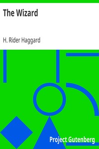 Book cover of "The Wizard"