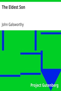Book cover of "The Eldest Son"