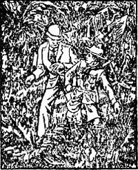 Book cover of "The Boy Scouts for Uncle Sam"
