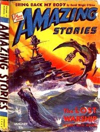 Book cover of "The Lost Warship"