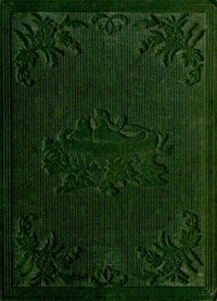 Book cover of "Little Robins Learning to Fly"