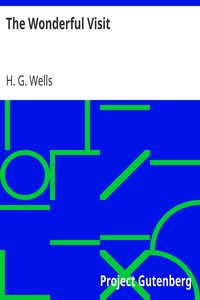 Book cover of "The Wonderful Visit"