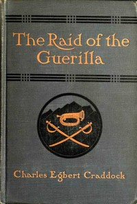 Book cover of "The raid of the guerilla, and other stories"