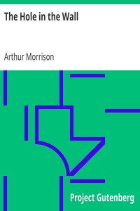 Book cover of "The Hole in the Wall"