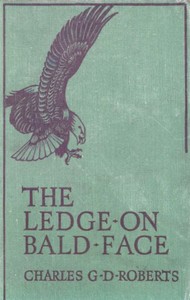 Book cover of "The Ledge on Bald Face"