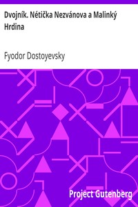 Book cover of "Dvojník. Nétička Nezvánova a Malinký Hrdina"