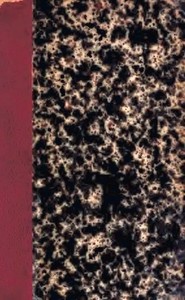 Book cover of "Lettres à Madame Viardot"