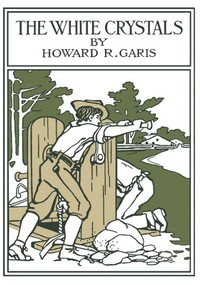 Book cover of "The White Crystals: Being an Account of the Adventures of Two Boys"