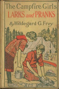 Book cover of "The Camp Fire Girls' Larks and Pranks; Or, The House of the Open Door"