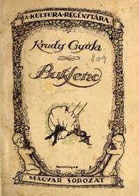 Book cover of "Bukfenc"