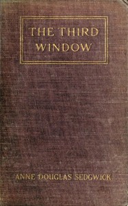 Book cover of "The Third Window"