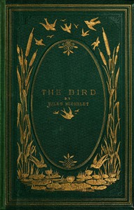 Book cover of "The Bird"