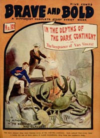 Book cover of "In the Depths of the Dark Continent; or, The Vengeance of Van Vincent"