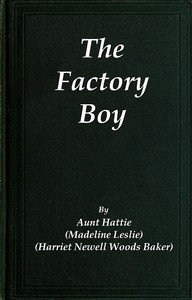 Book cover of "The Factory Boy"