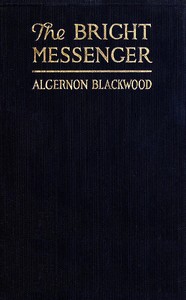 Book cover of "The Bright Messenger"