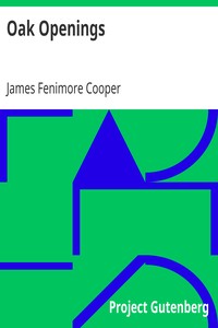 Book cover of "Oak Openings"