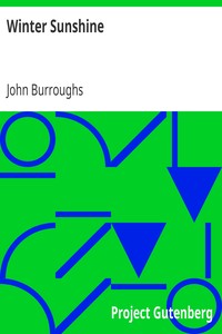 Book cover of "Winter Sunshine"