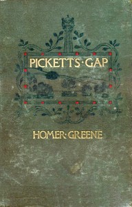 Book cover of "Pickett's Gap"
