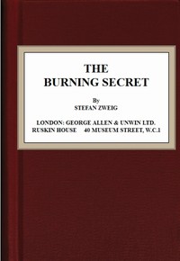 Book cover of "The Burning Secret"