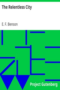 Book cover of "The Relentless City"