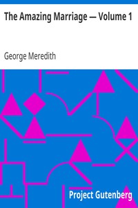 Book cover of "The Amazing Marriage — Volume 1"