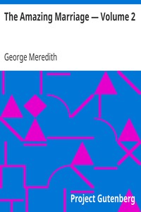 Book cover of "The Amazing Marriage — Volume 2"