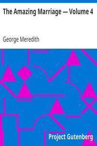 Book cover of "The Amazing Marriage — Volume 4"