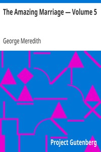 Book cover of "The Amazing Marriage — Volume 5"