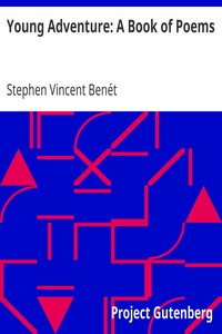Book cover of "Young Adventure: A Book of Poems"